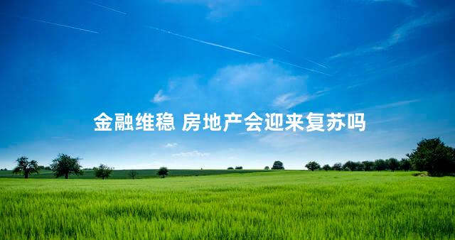 金融维稳 房地产会迎来复苏吗
